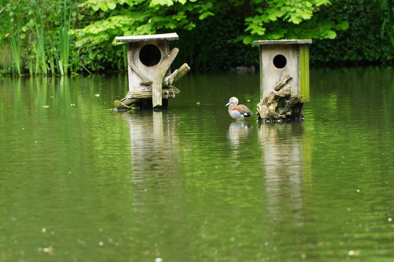 Gaestewohnung Hardinghaus Am Teich Warendorf Exteriér fotografie